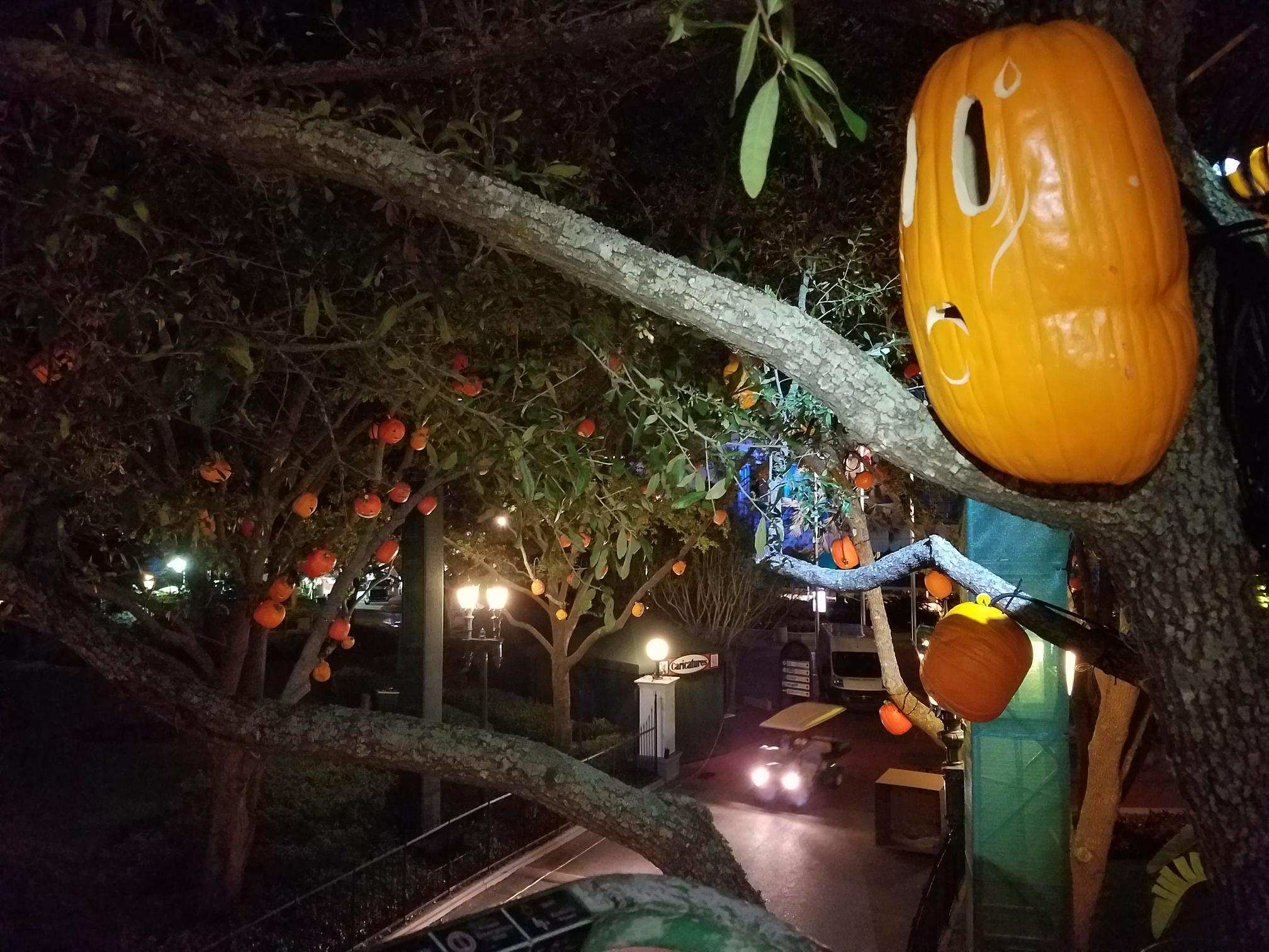 HHN 2017 pumpkin scare zone at night