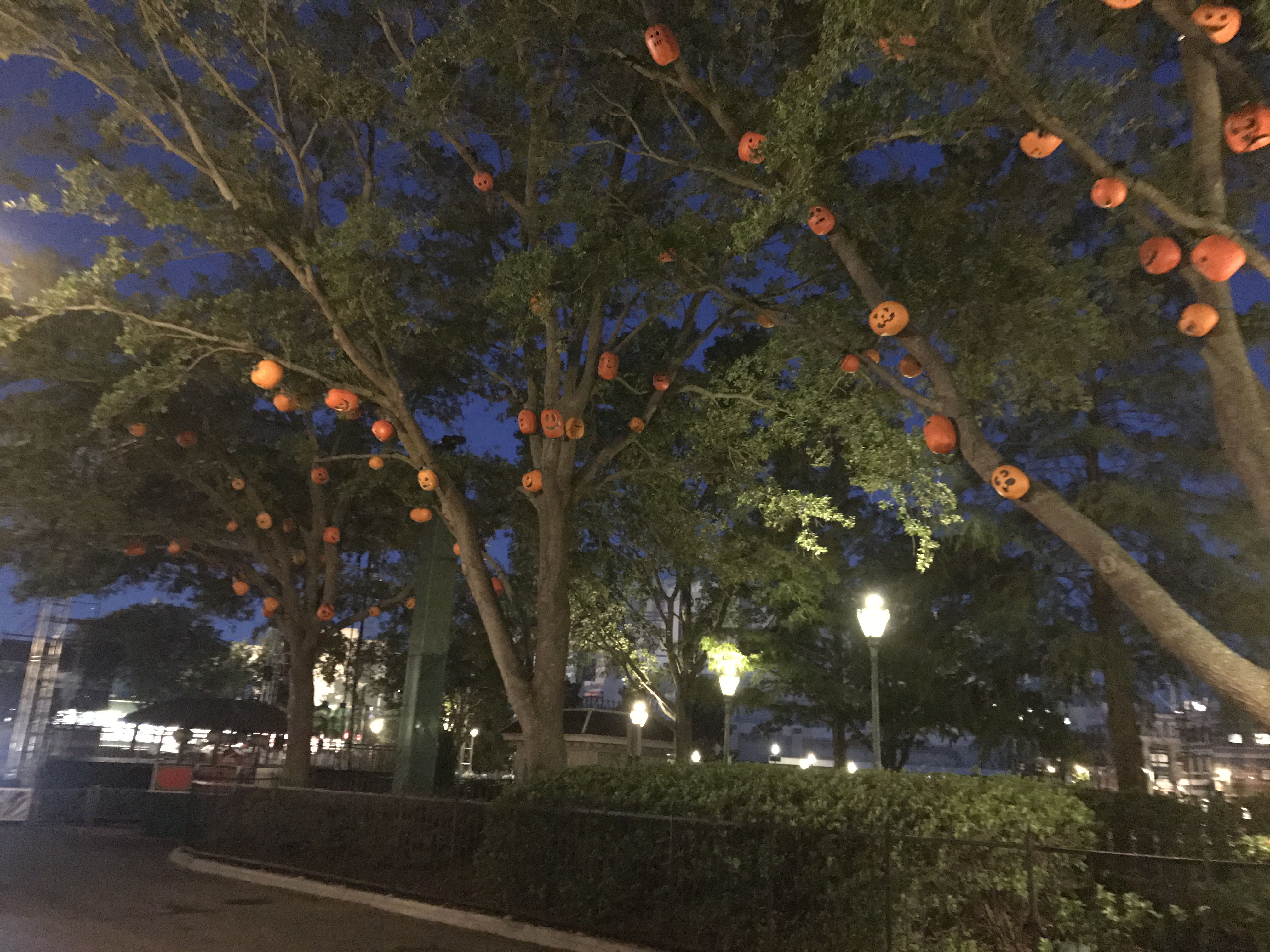 HHN 2017 pumpkin trees park-wide decor