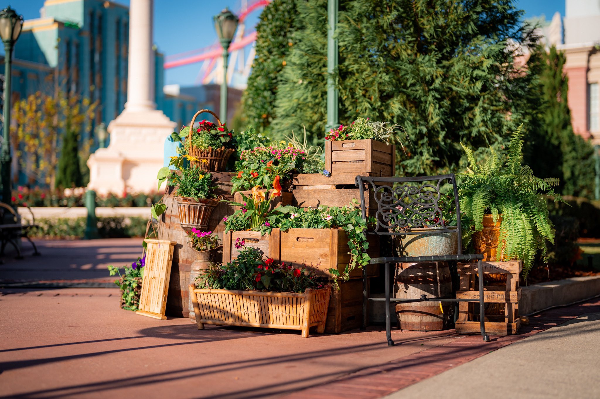 Universal Mardi Gras 2024 floral crate display