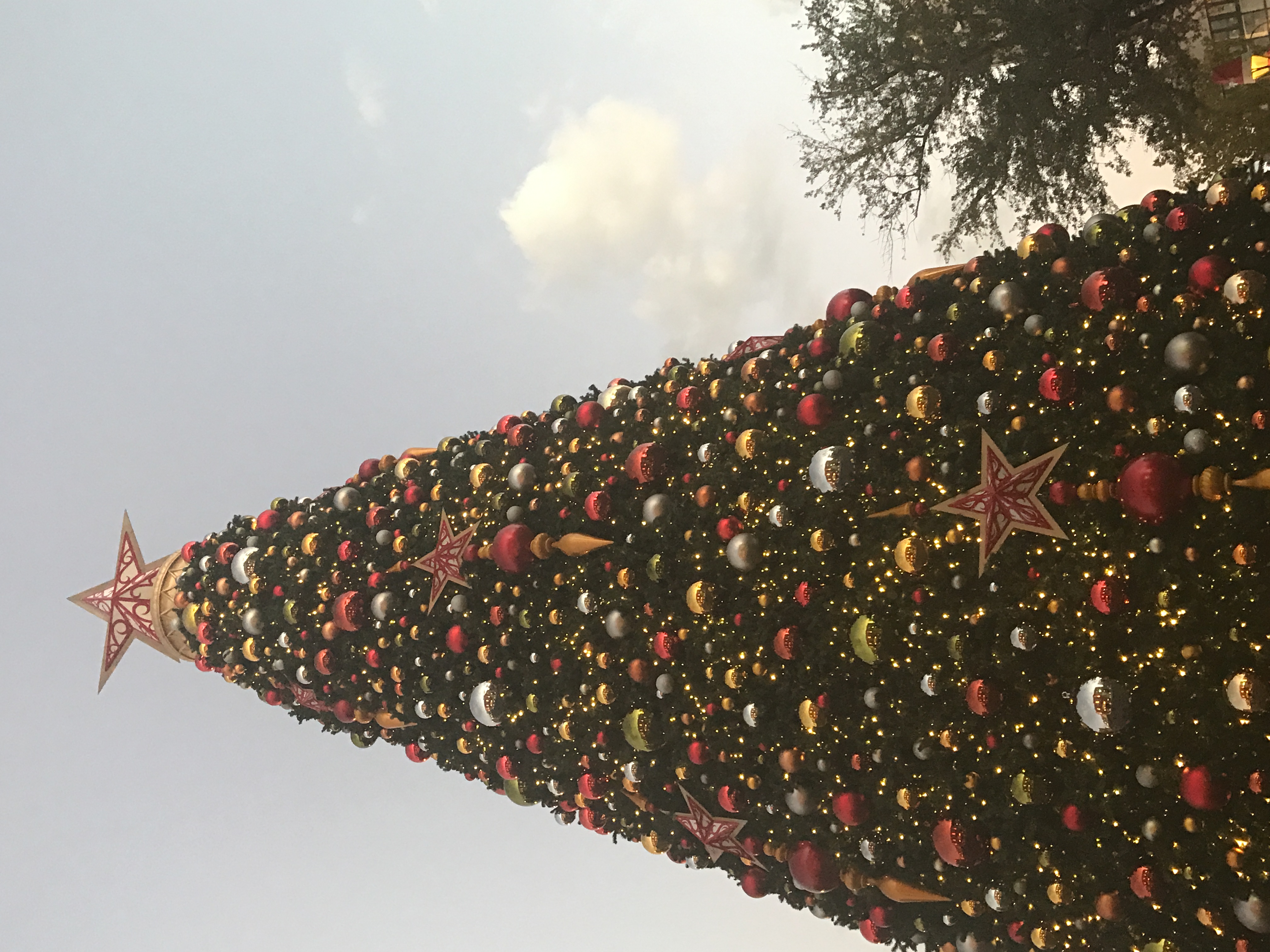 Universal Christmas 2016 holiday tree
